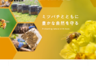 中勢林業株式会社【 三重県津市】